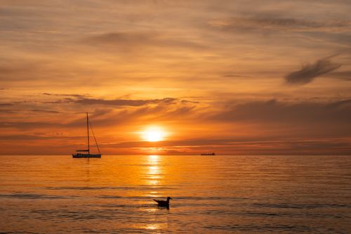 Free A serene sunset over calm seas with a boat and bird silhouettes, creating a picturesque seascape. Stock Photo