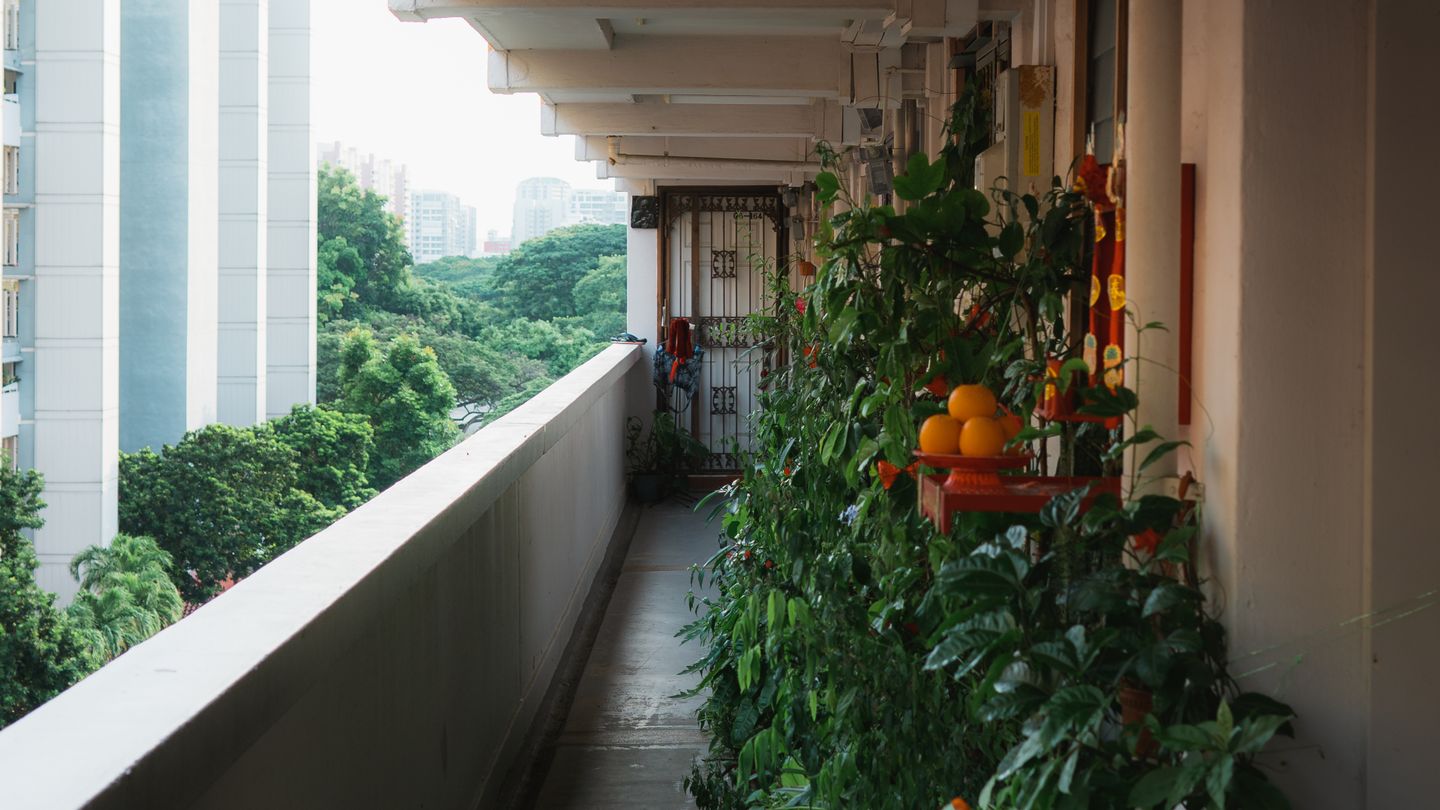 Jardinage urbain en 2026 : pourquoi de plus en plus de citadins se mettent à cultiver