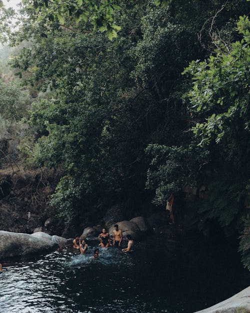 Group of Friends Swimming in a Stream in a Forest 