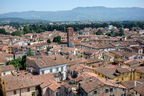 Birds Eye View of a Town 