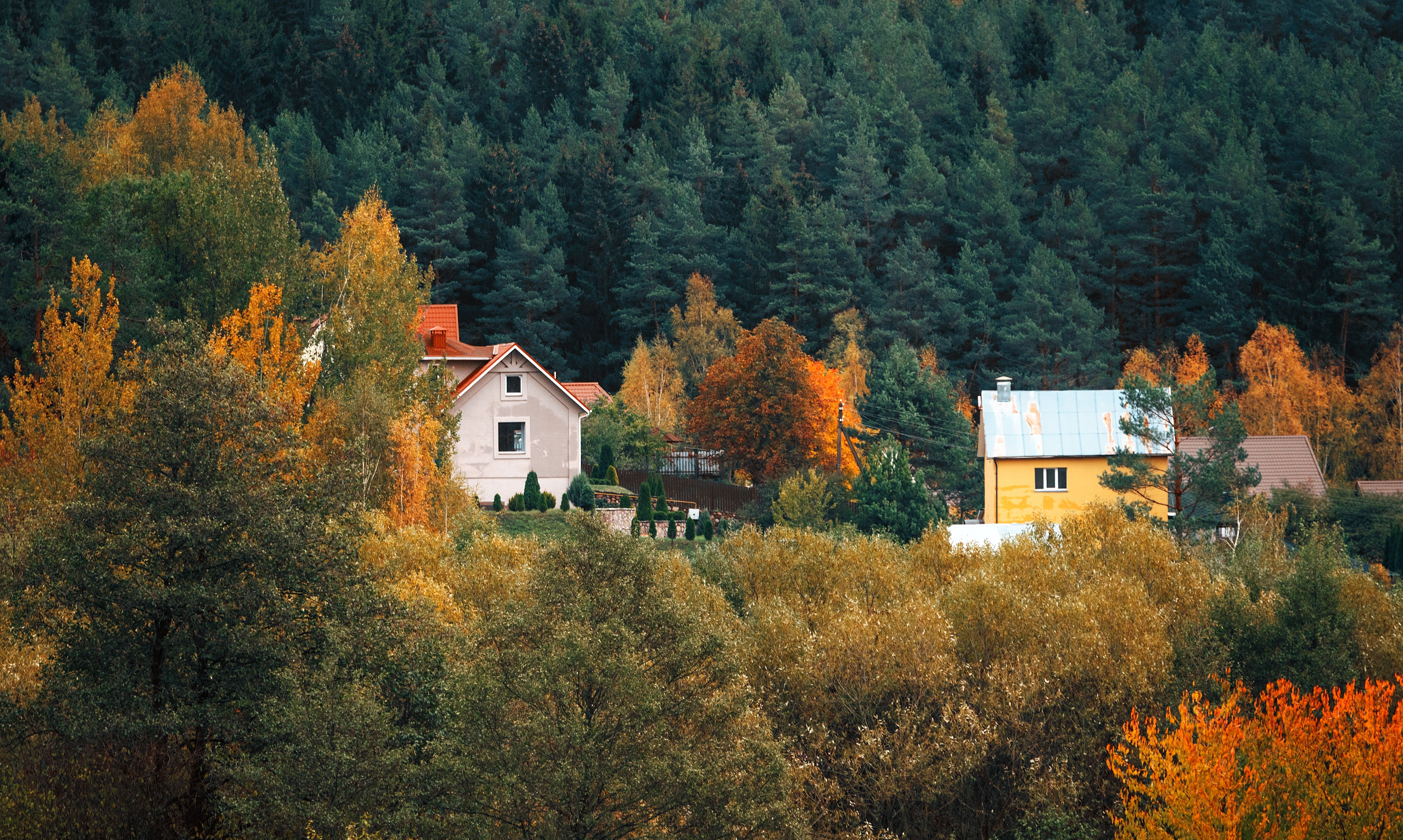 Aerial View of Houses in a Forest in Autumn · Free Stock Photo