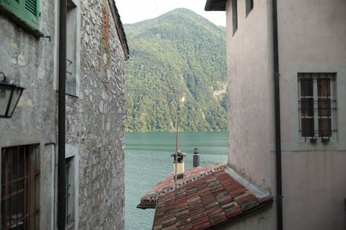 Základová fotografie zdarma na téma budovy, domy, jezero