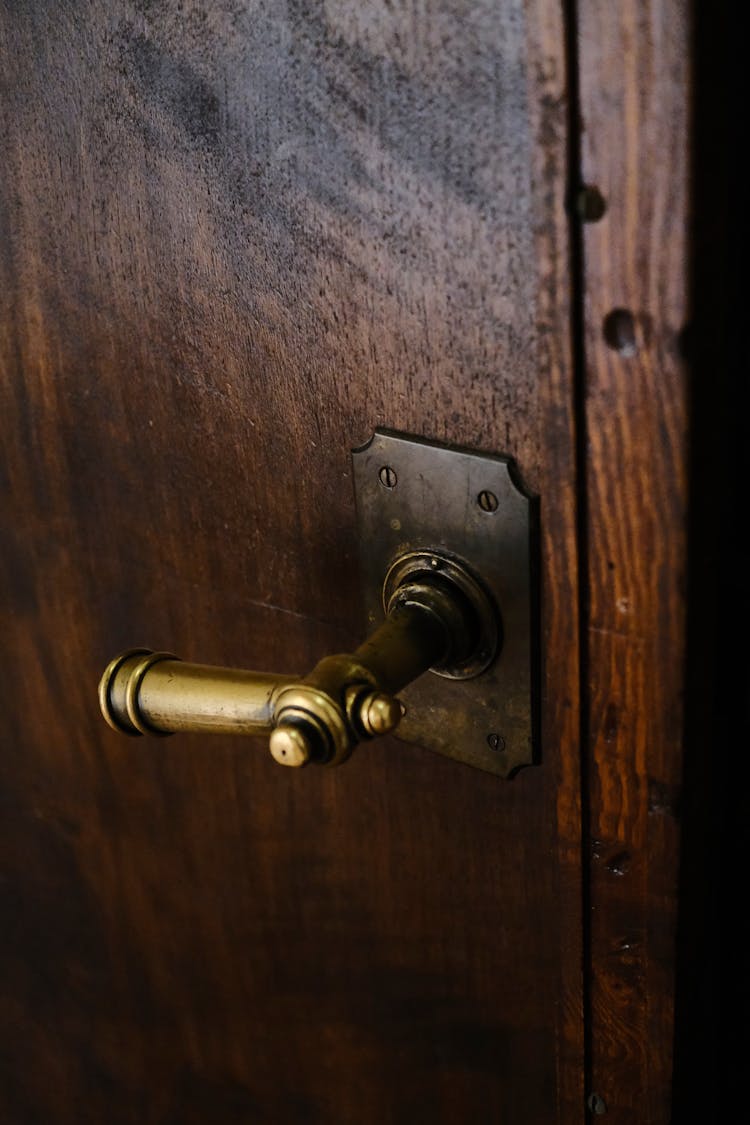 Brass Door Handle