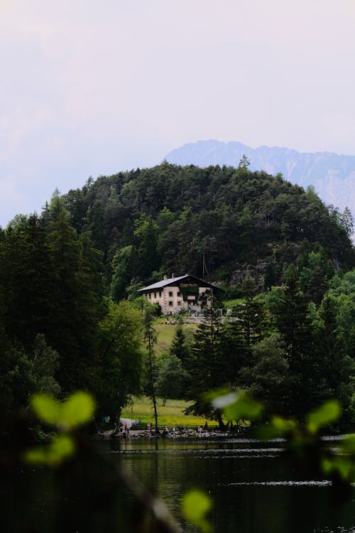 Immagine gratuita di alberi, edificio, focus selettivo