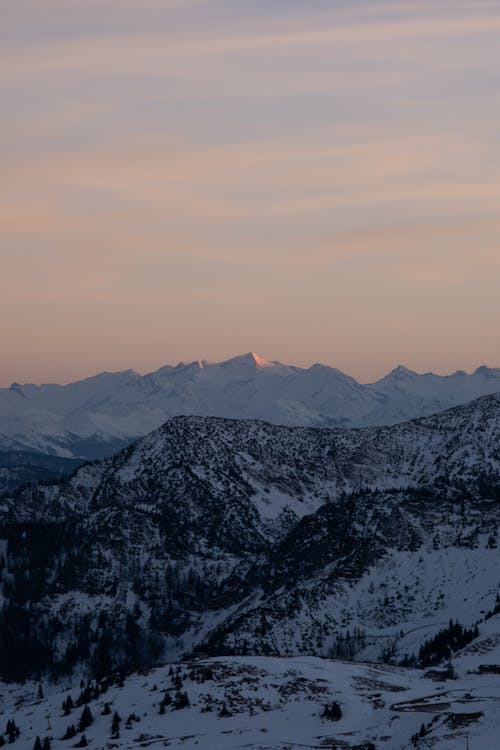 Foto d'estoc gratuïta de blanc, capvespre, constipat