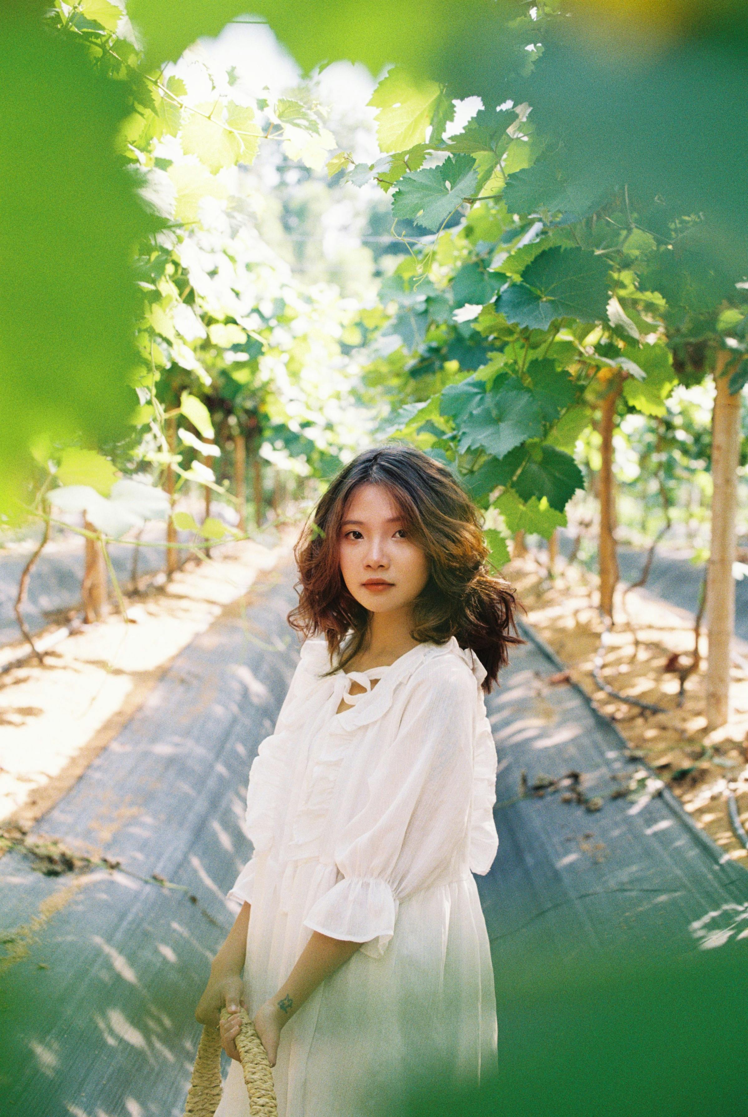 A young woman in a flowing white dress stands gracefully among lush vineyard rows.