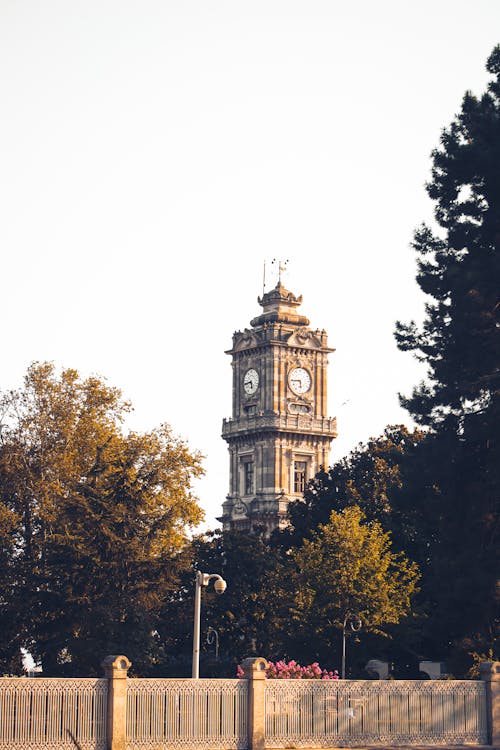 Domabahce Clock Tower behind Trees