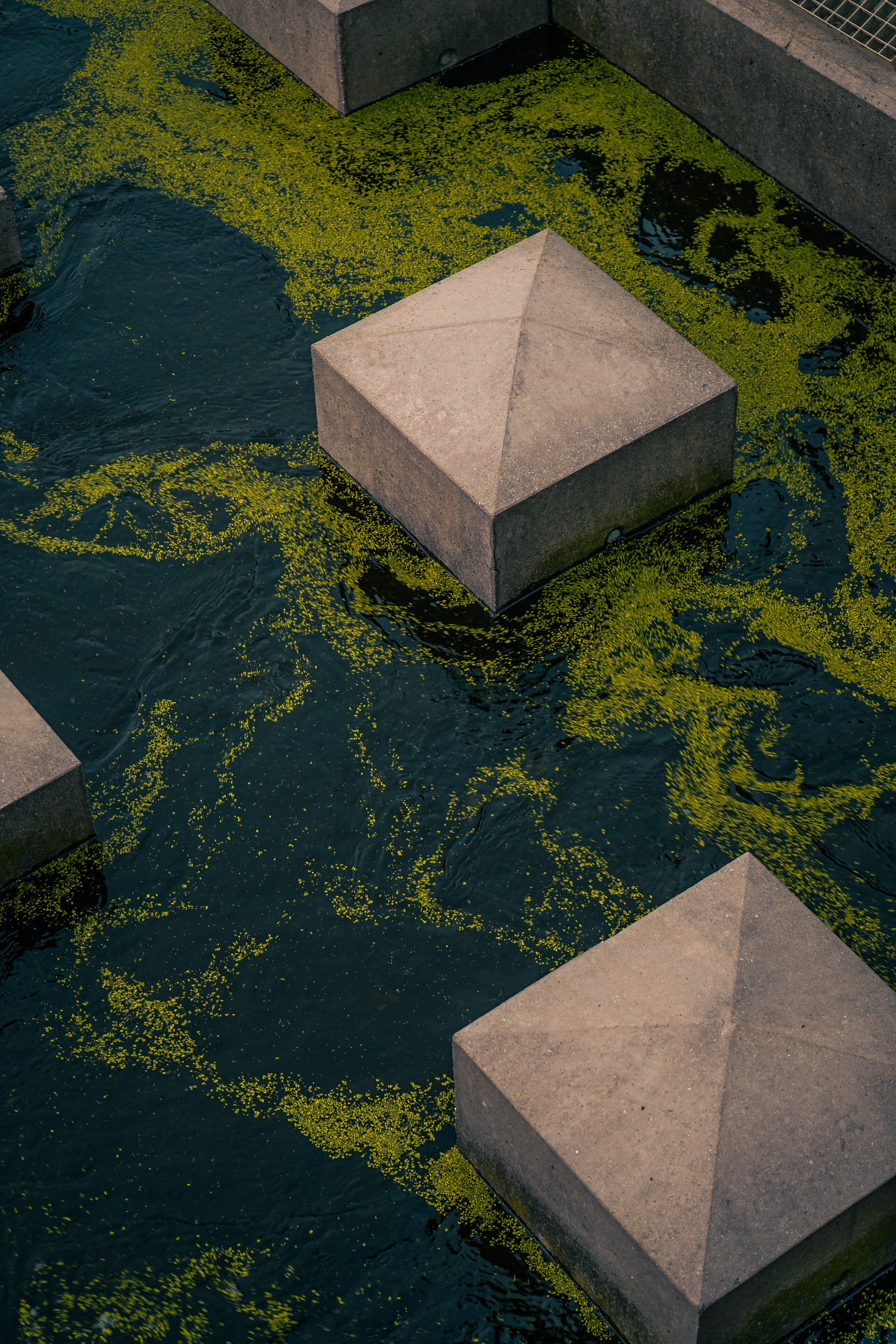 Map pond photos download the best free map pond stock photos hd images