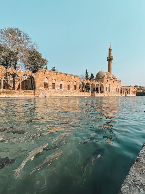View of the Pool of Abraham, Urfa, Turkey 