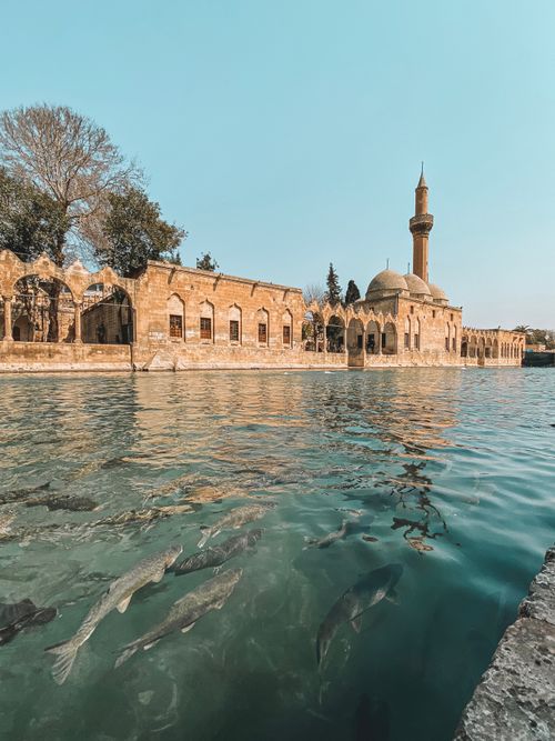 Free Serene scene of Halil-ur-Rahman Mosque with clear water view in Şanlıurfa, Turkey. Stock Photo