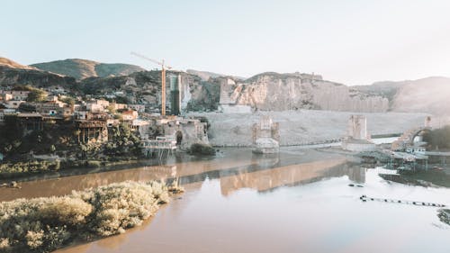 Δωρεάν στοκ φωτογραφιών με γαλοπούλα