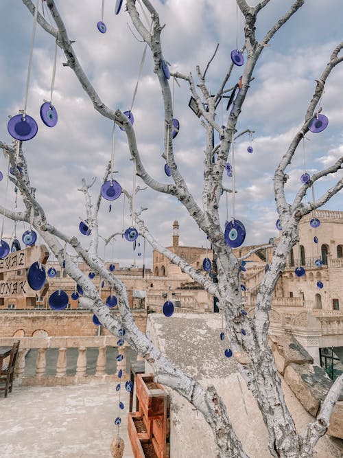 Baubles Hanging on a Tree