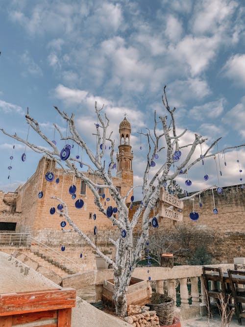 Nazar Amulets on Bare Tree in Town