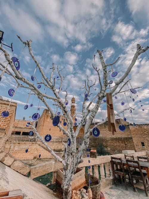 Nazar Amulets on Bare Tree in Town