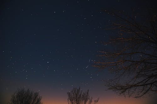 astronomi, dallar, gece içeren Ücretsiz stok fotoğraf