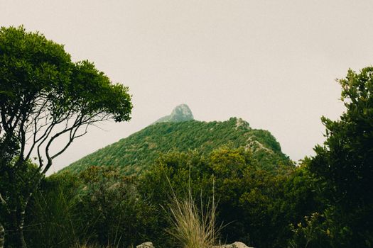 A serene view of a lush green mountain surrounded by dense forests under an overcast sky.