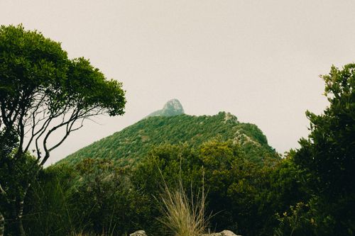 Free A serene view of a lush green mountain surrounded by dense forests under an overcast sky. Stock Photo