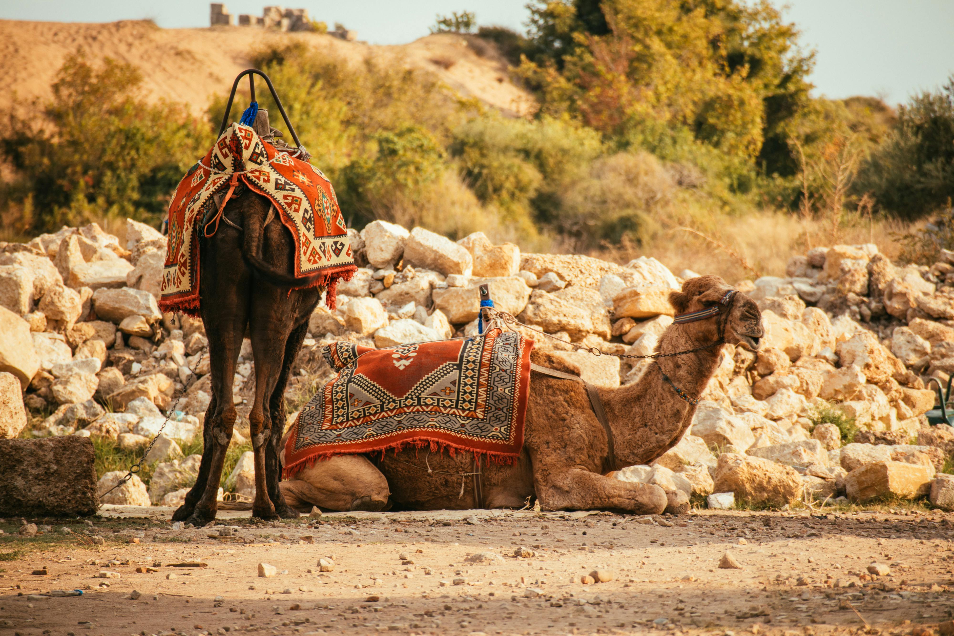 財經：中東情勢如何影響基礎建設股票投資策略？你需要知道的事！