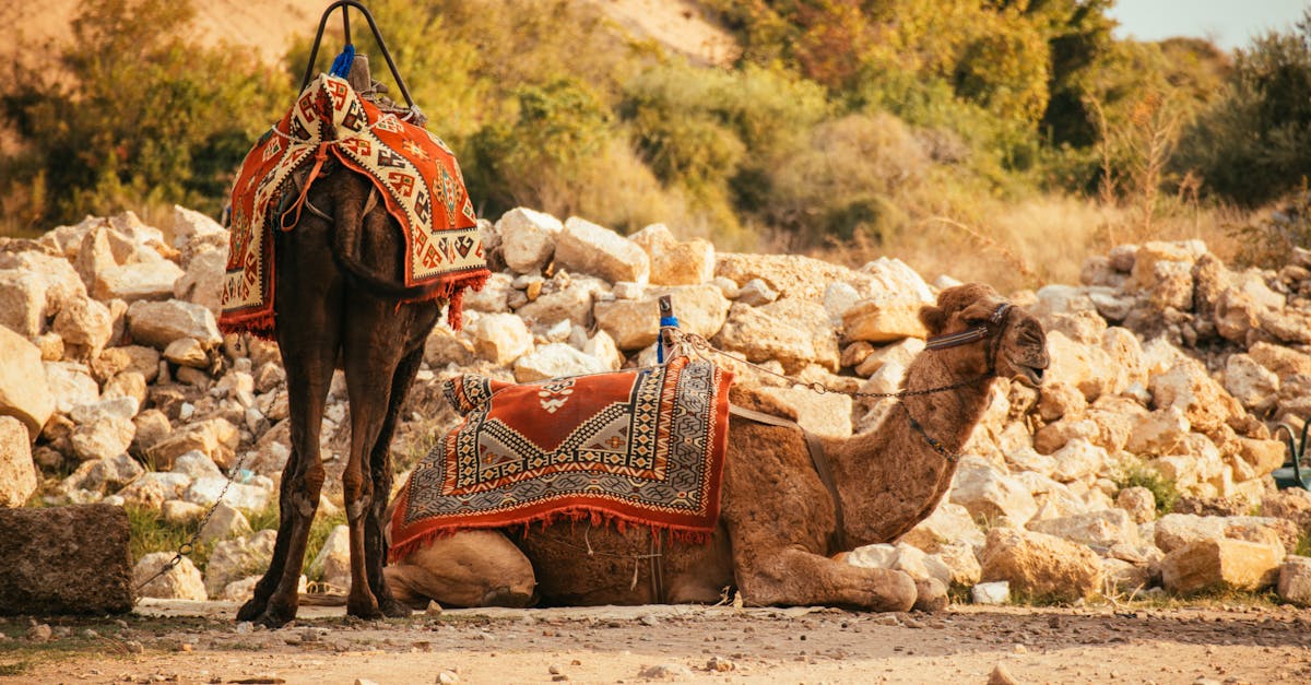 財經:中東情勢如何影響基礎建設股票投資策略?你需要知道的事!