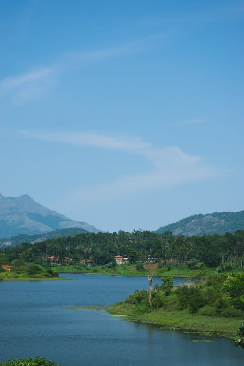 Scenic View of a River and Hills 