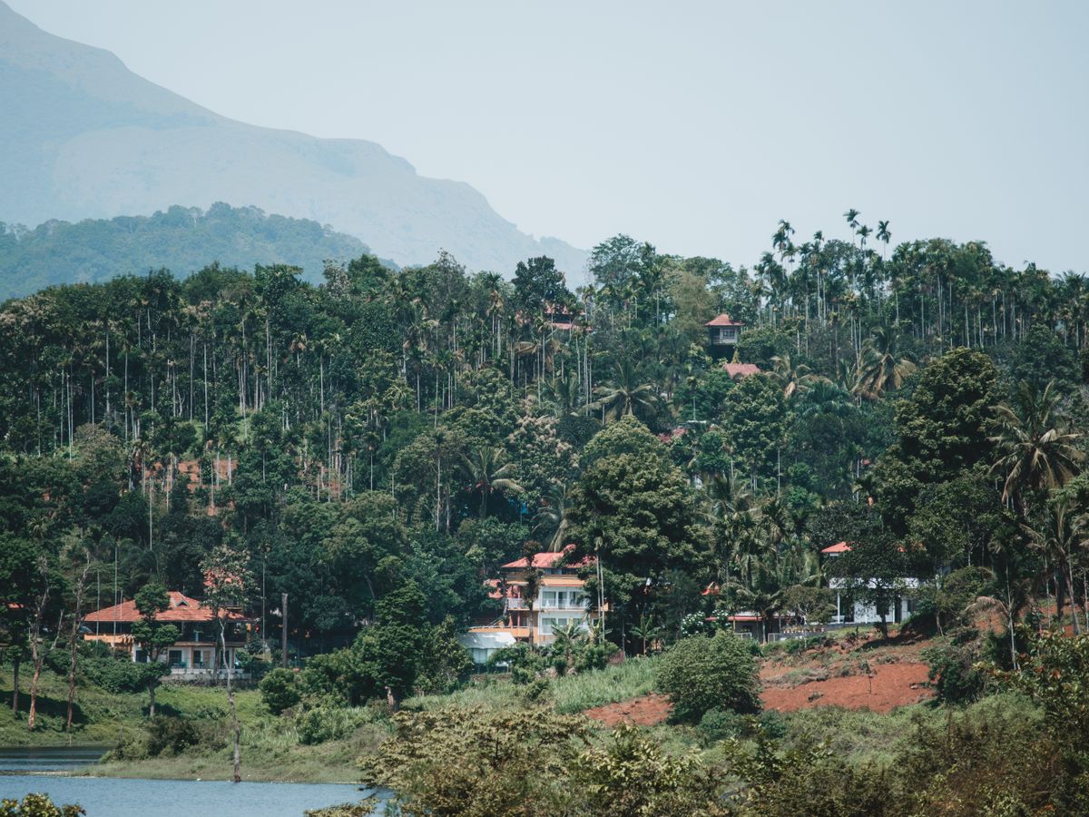 3 Day Digital Detox & Cellular Reset Retreat in Karnataka, India 2