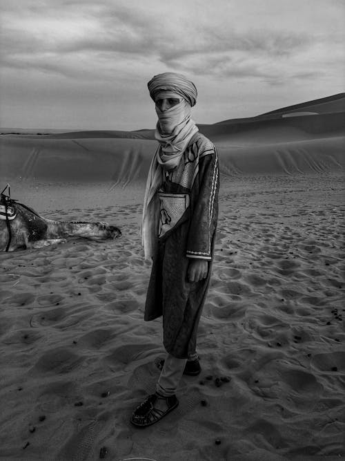 Free stock photo of africa, bedouin, camel