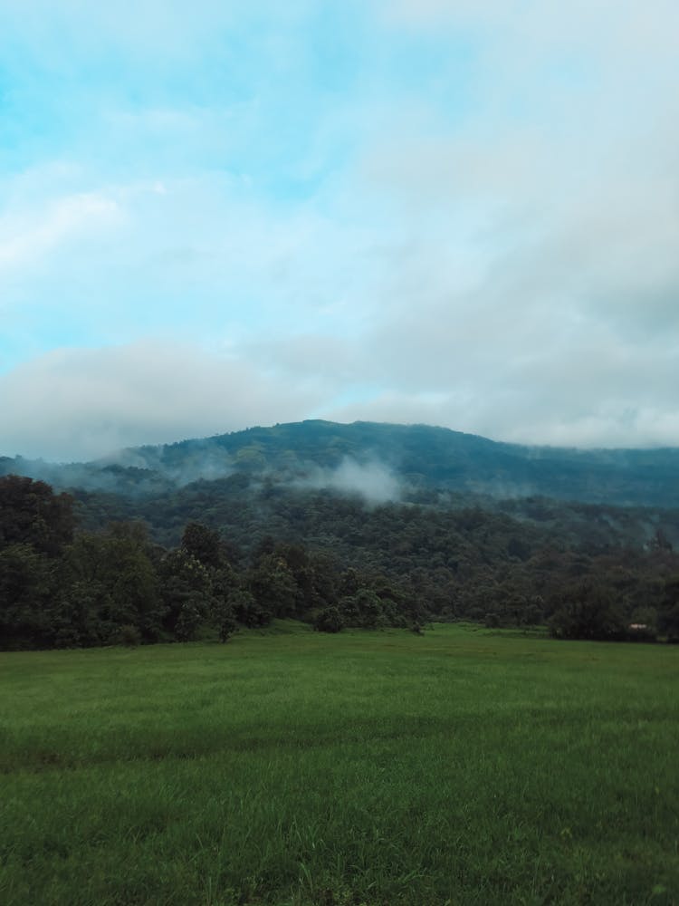 Landscape With A Grass Field And Forest On Hills In Fog