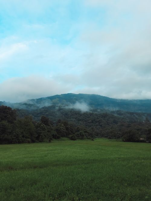 Free Peaceful morning scene capturing a misty forest and lush green field under a blue sky. Stock Photo