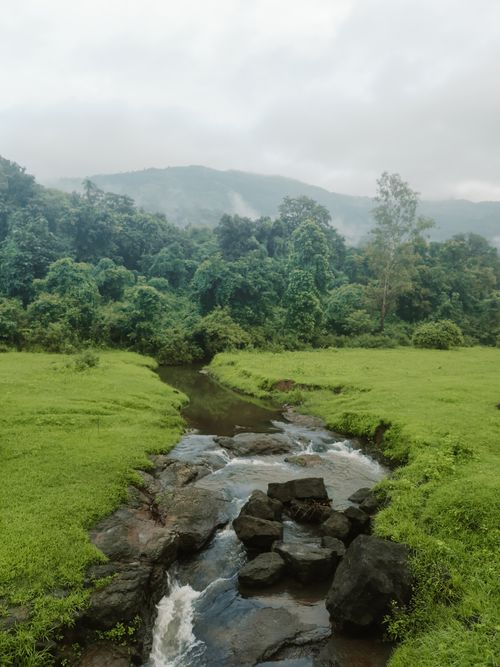 Free Lush green forest valley with a flowing stream under a cloudy sky. Stock Photo