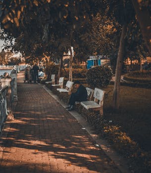 宁静的公园里，一名男子静静地坐在长凳上，周围是郁郁葱葱的树木和柔和的阳光