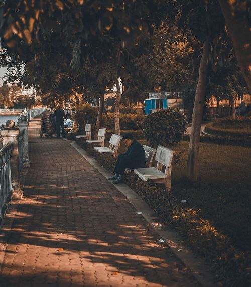 Free A man sits quietly on a bench in a serene park, surrounded by lush trees and soft sunlight. Stock Photo