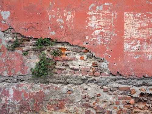 Základová fotografie zdarma na téma cihly, drsný, oloupaný