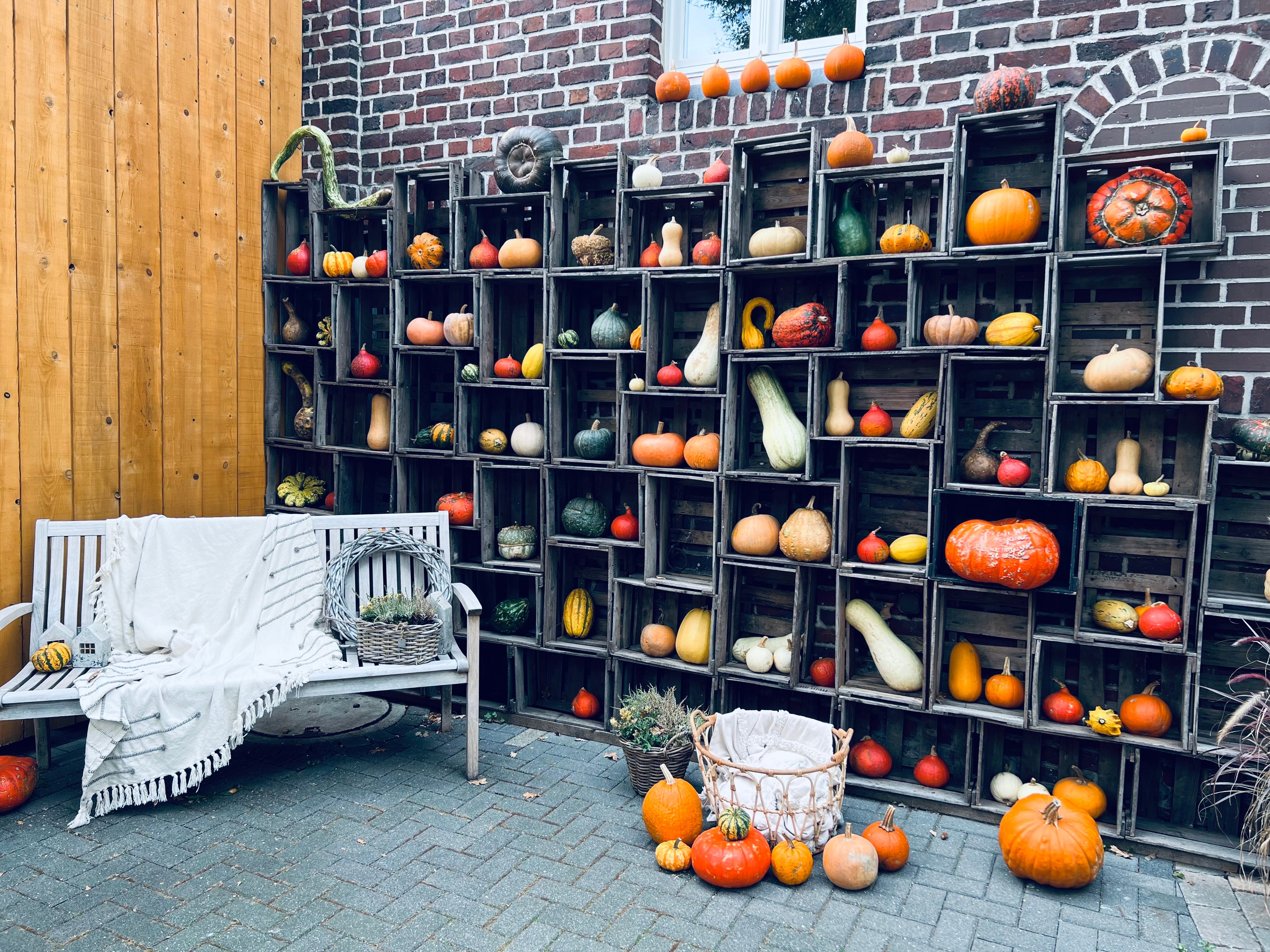 Obstkisten-Upcycling: 5 DIY-Ideen für Zuhause mit Material-Tipps — Variation