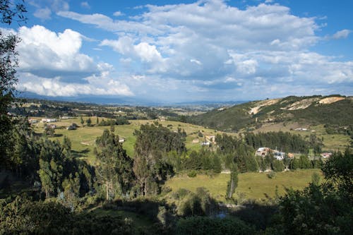 Immagine gratuita di alberi, bellezza, campagna