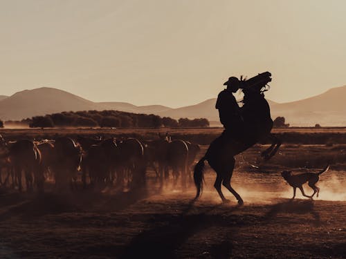 A Person on Horseback at Sunset 