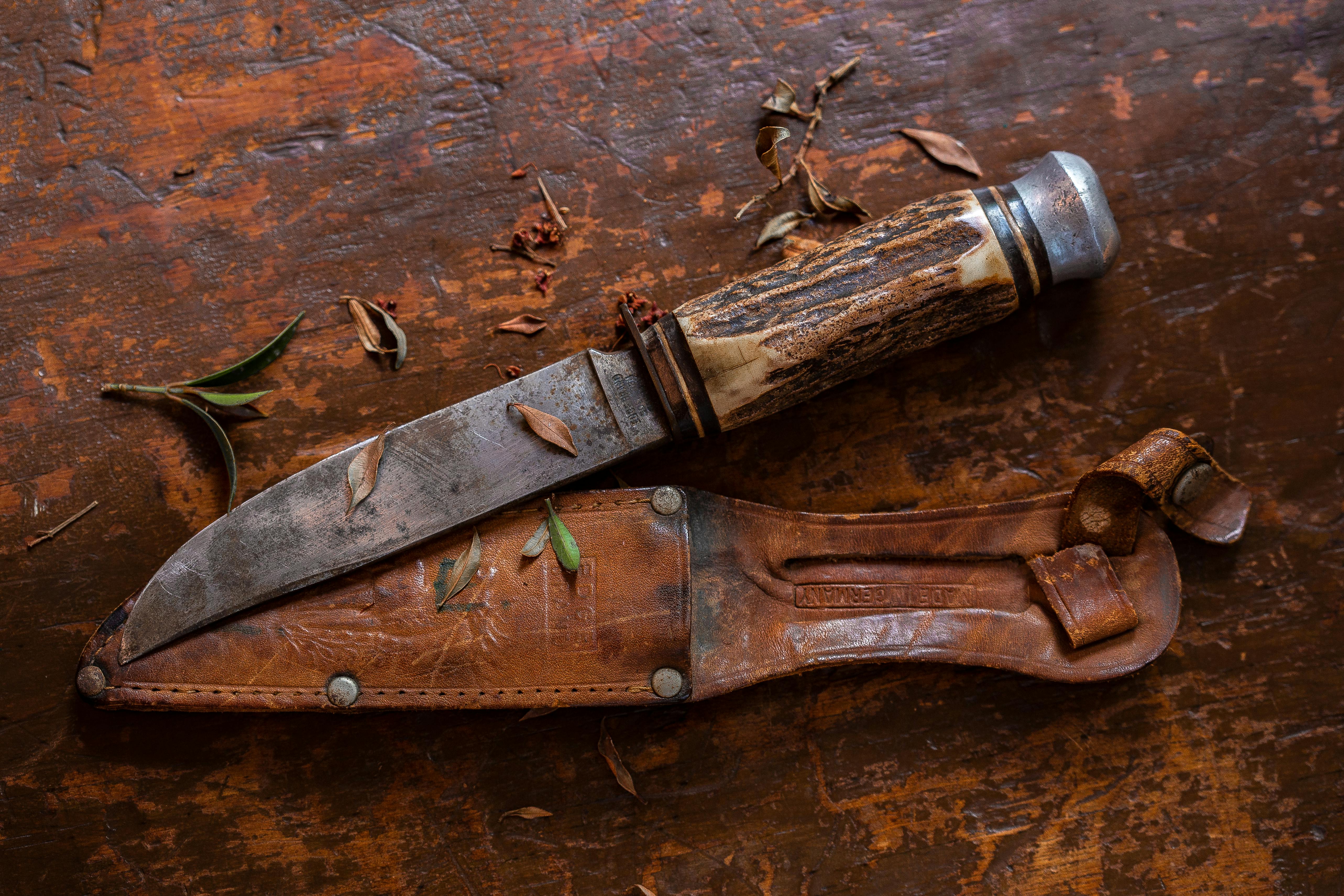 Free stock photo of blade, knife, knife holder