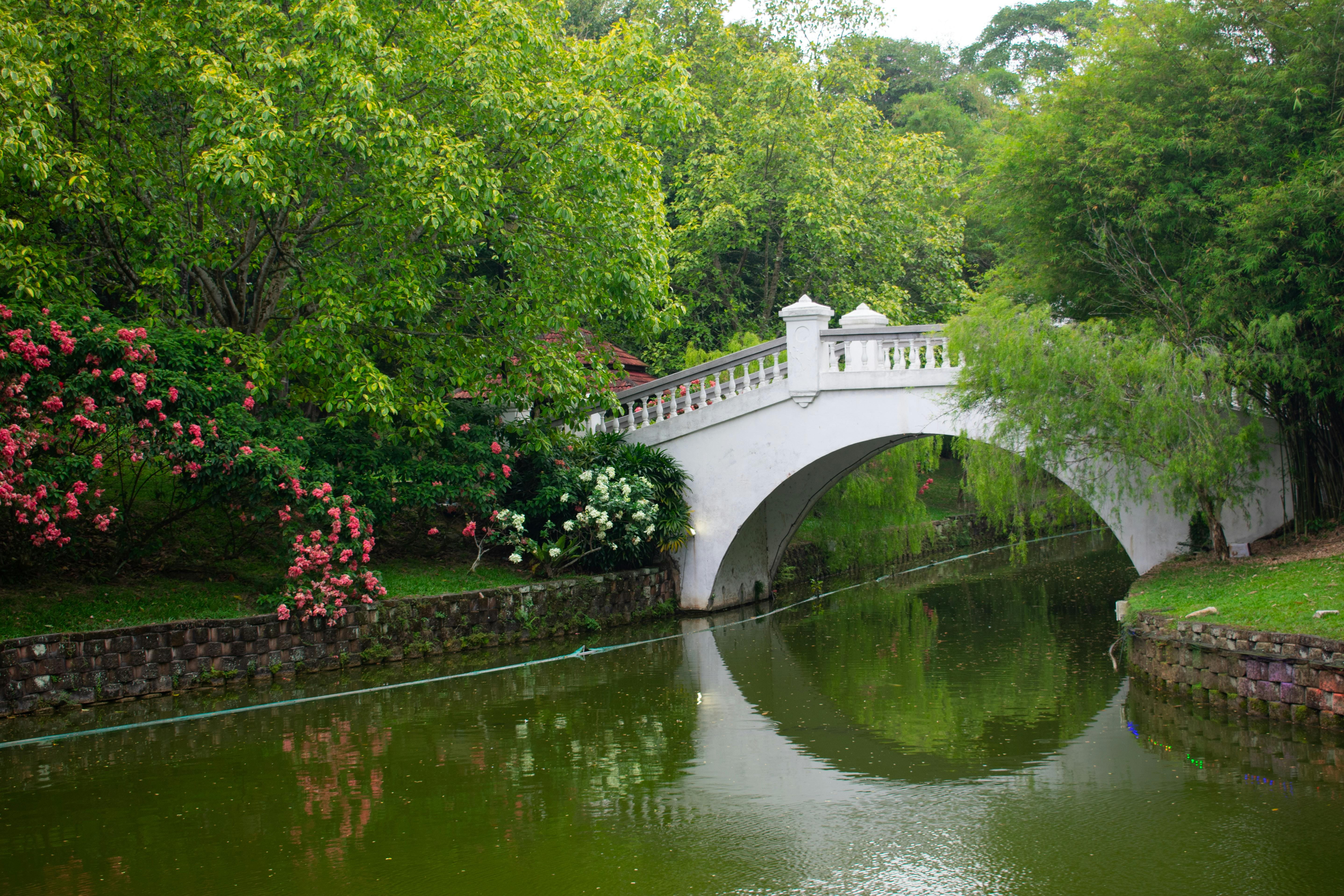 Taiping