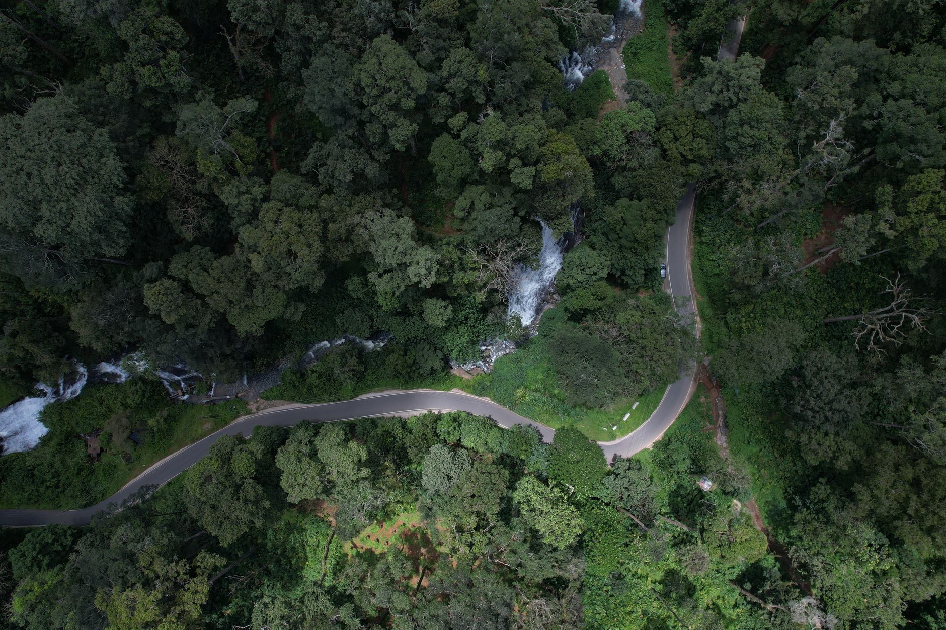 Drone shot capturing a winding road through lush green forest in Kerala, India.