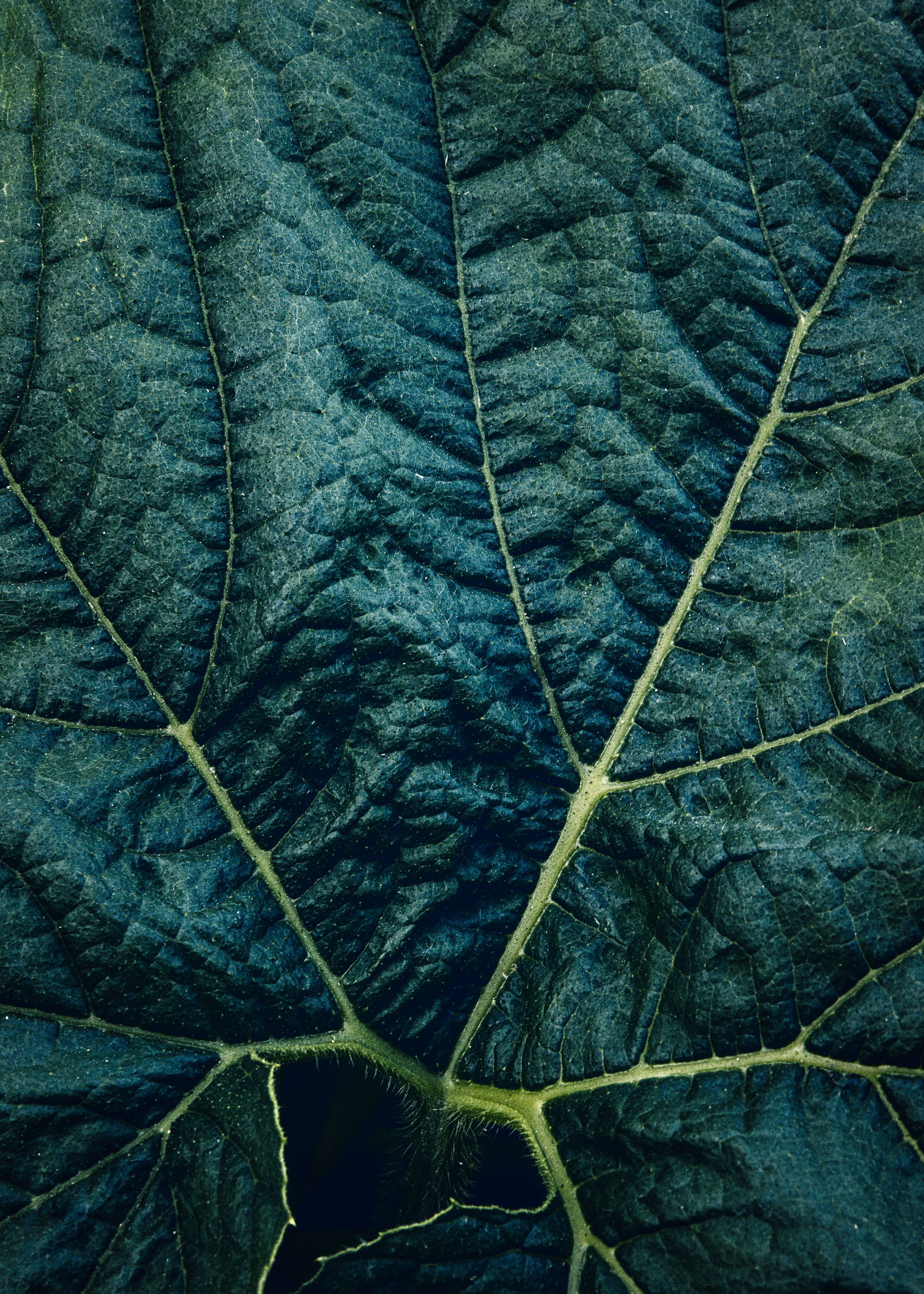 Photo by LExie Blessing on pexels