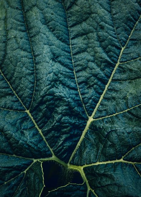 Photo by LExie Blessing on pexels