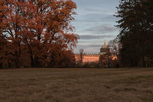 View of the New Palace in Potsdam from a Park with Autumnal Trees