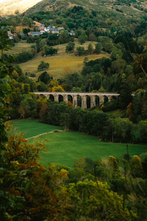 Viaduct among Trees in Countryside