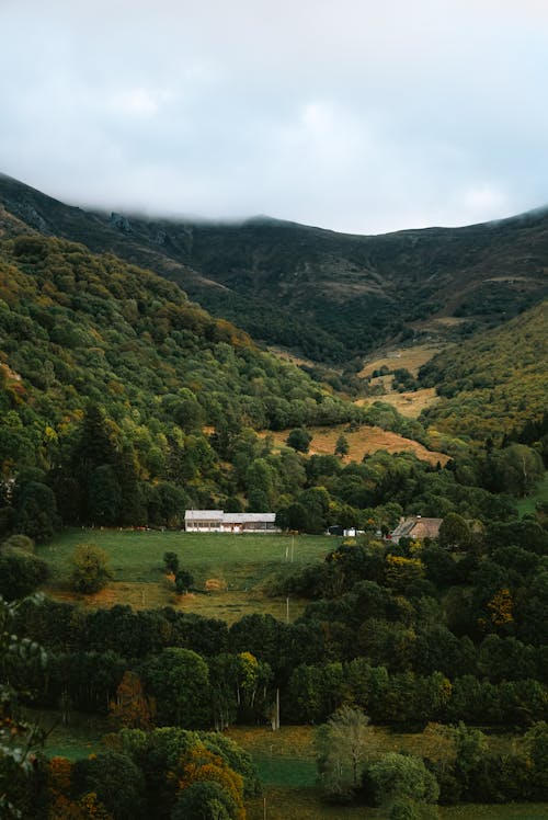 Trees around Farm in Valley in Countryside