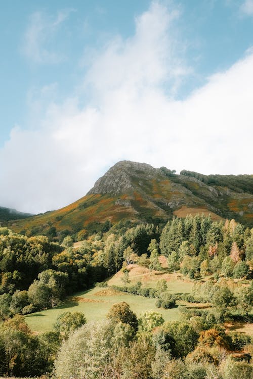 Hill over Green Countryside with Trees