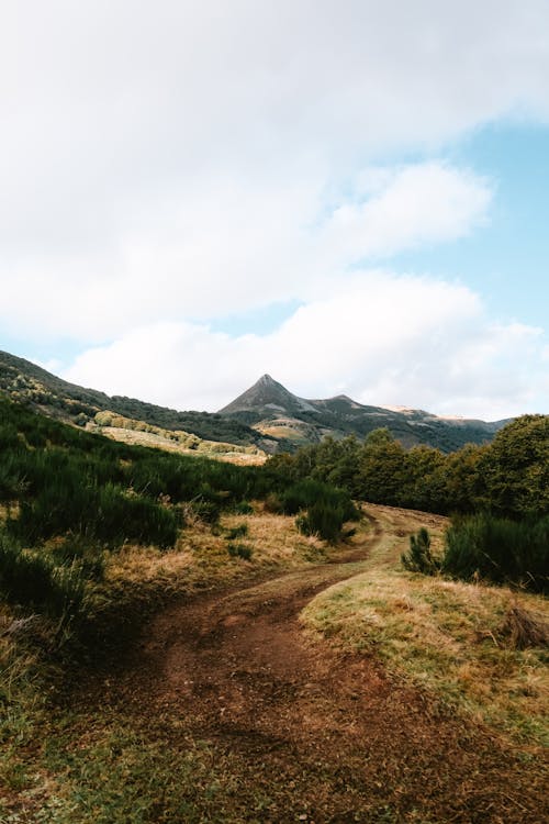 人行道, 垂直拍摄, 山 的 免费素材图片