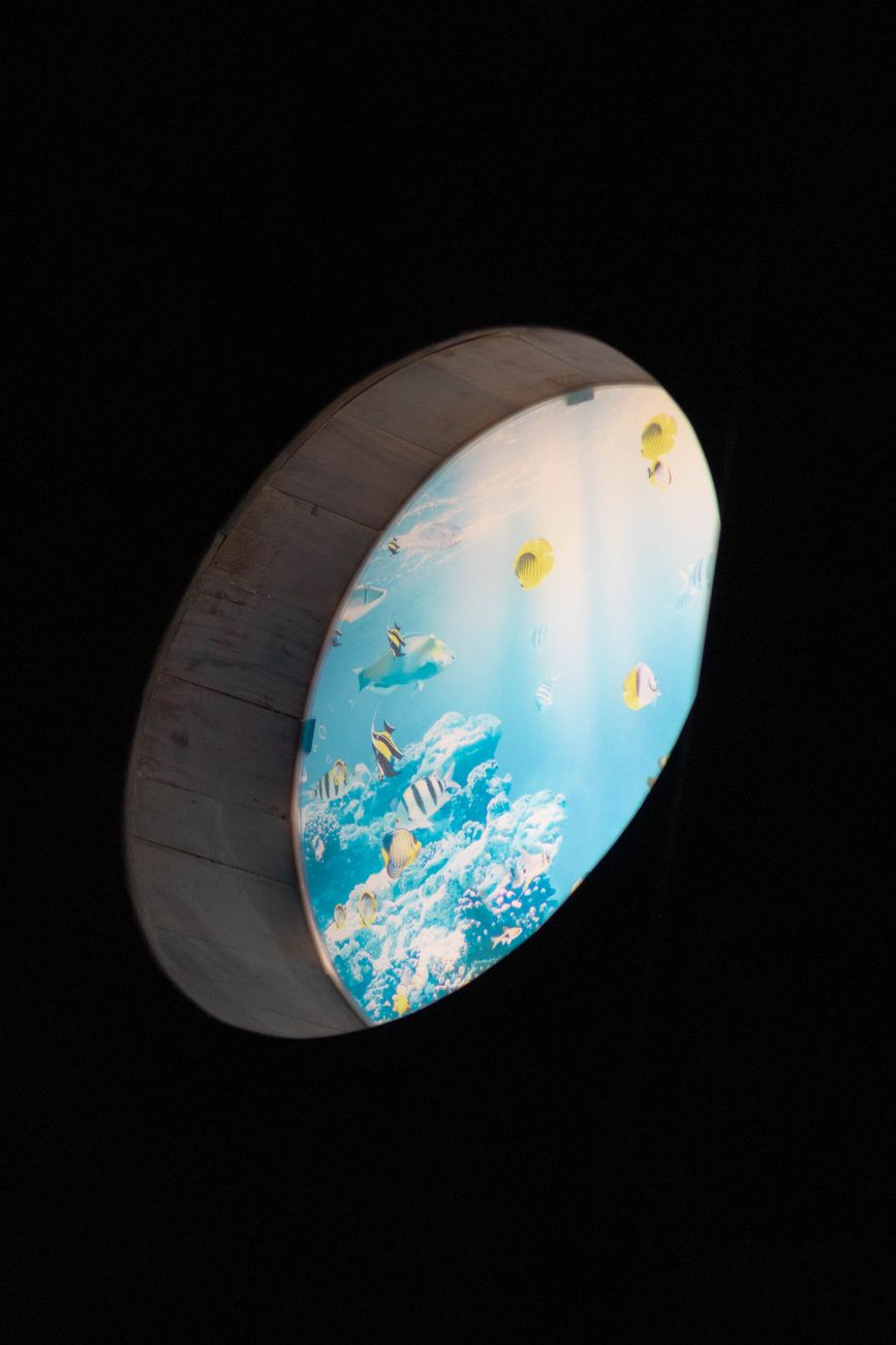 coex aquarium walkthrough tunnel tank