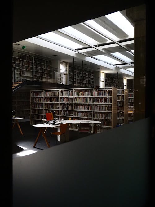 Бесплатное стоковое фото с библиотека, вертикальный выстрел, книга