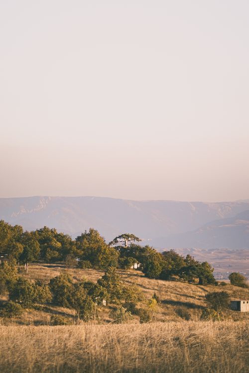 Free Peaceful rural scene with rolling hills and golden fields under a soft sky. Stock Photo
