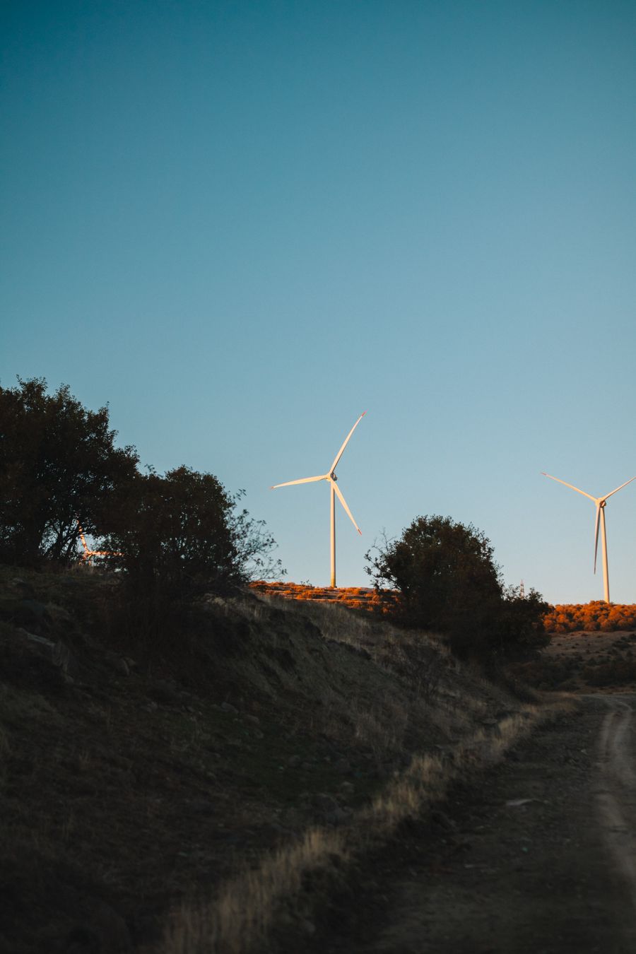 Wind turbines generating renewable energy