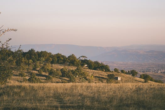 A serene sunrise unfolds over lush rolling hills and forests, offering a picturesque landscape view.